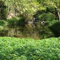 Photo de France - La randonnée du lac des Olivettes